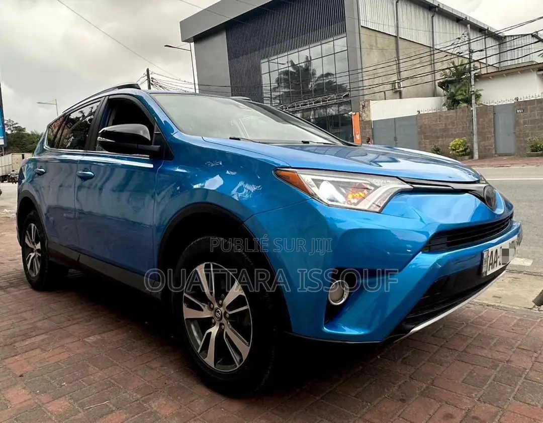 Toyota RAV4 LE AWD 2019 Bleu