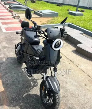 Nouveau American Ironhorse Eagle 2025 Argenté