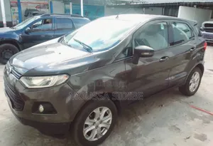 Ford Ecosport 2015 Gris