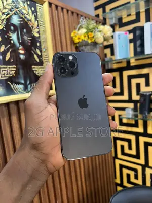 Nouveau Apple iPhone 12 Pro Max 128 GB Gris