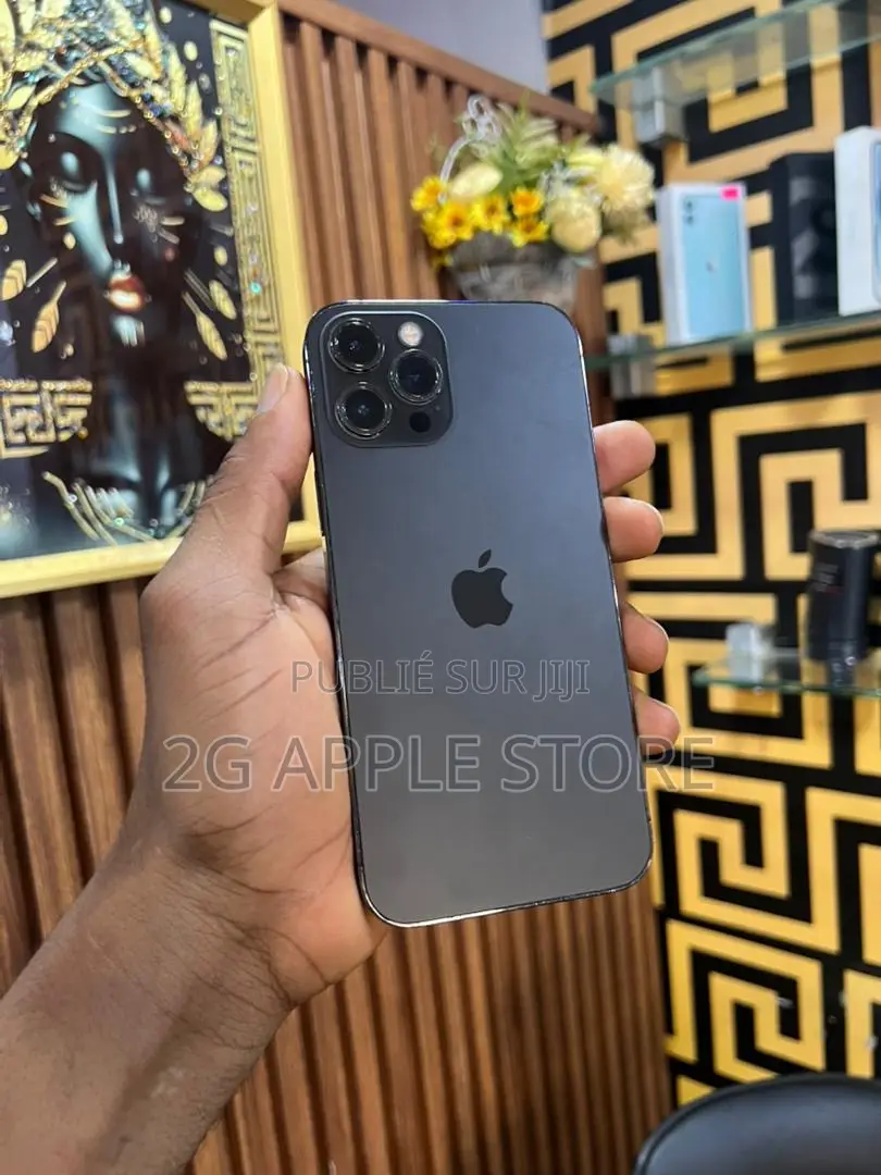 Nouveau Apple iPhone 12 Pro Max 128 GB Gris
