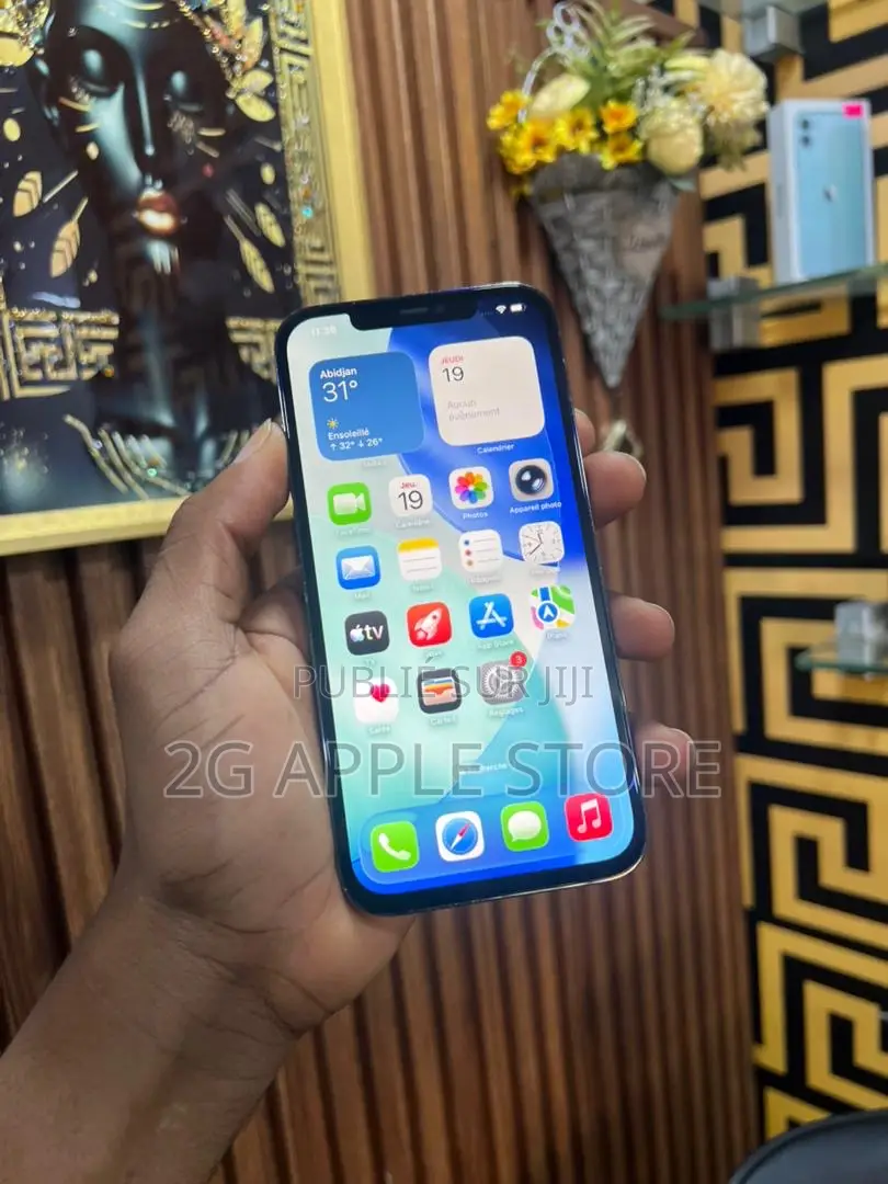 Nouveau Apple iPhone 12 Pro Max 128 GB Gris