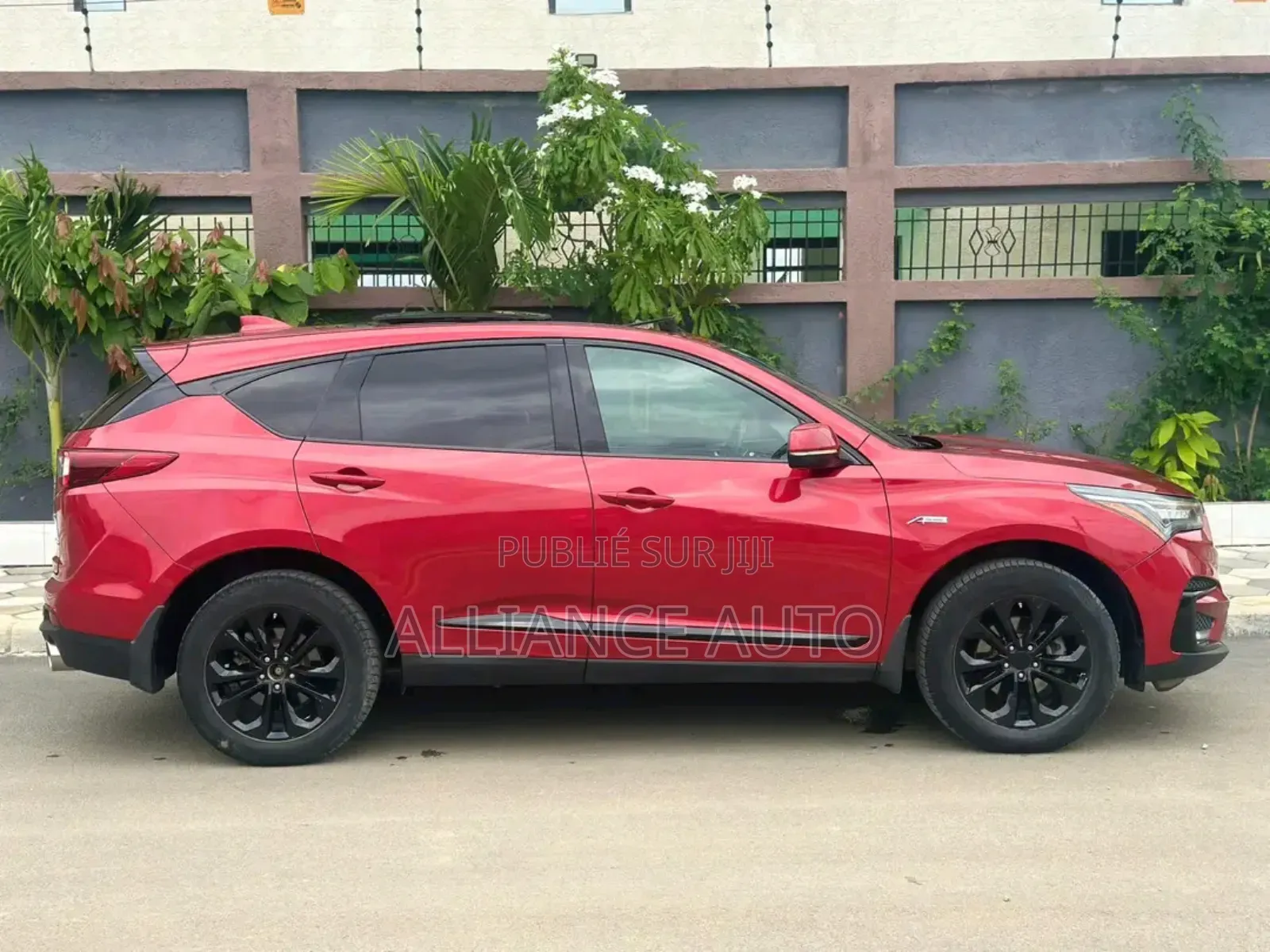 Acura RDX 2020 Rouge