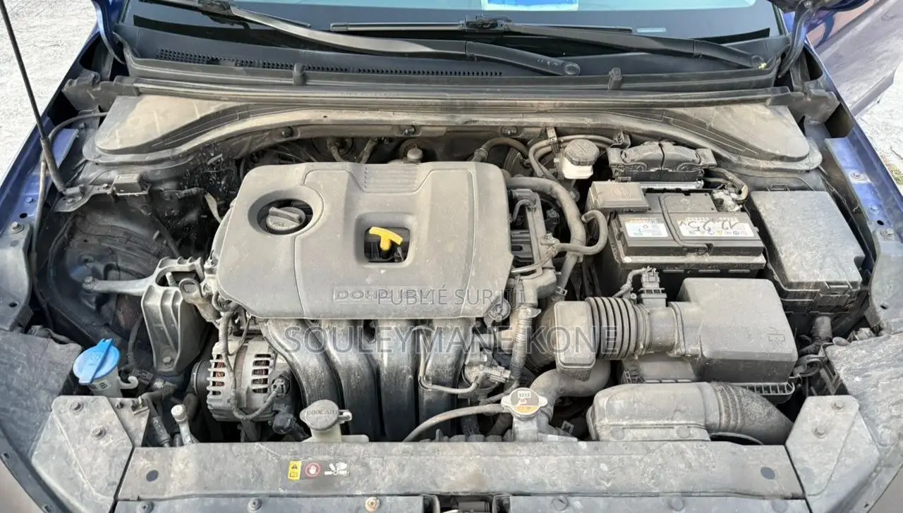 Hyundai Elantra 2020 Bleu