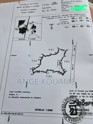 Terrain 5 Hectares Avec Acd en Vente À Songon Agban Attié 2