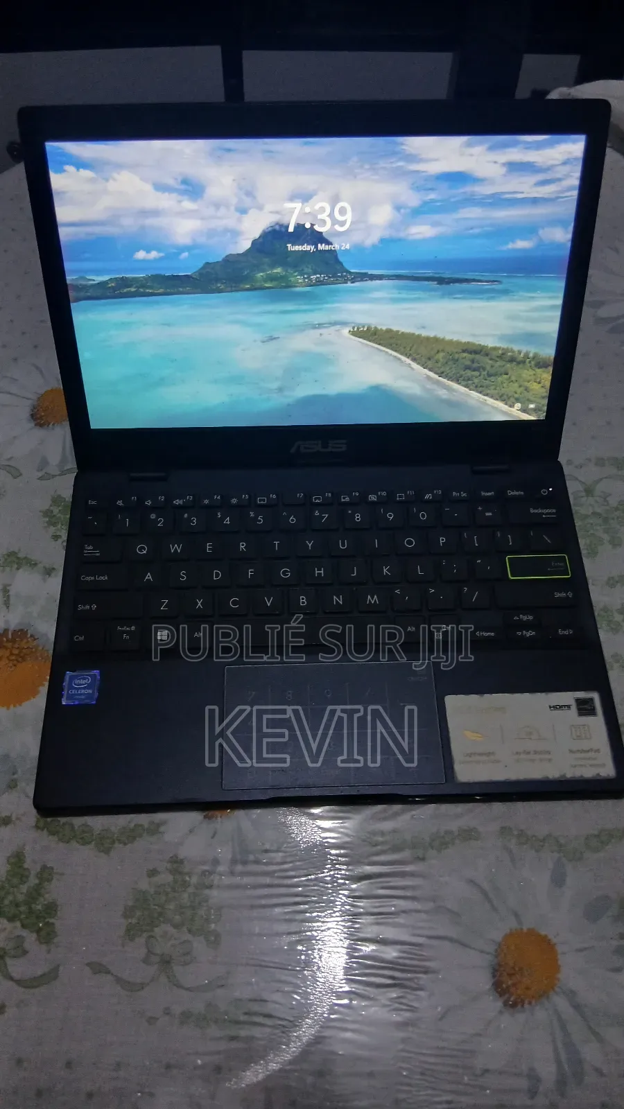 Ordinateur portable Asus Vivobook E200HA 4GB Intel Celeron SSD 60GB