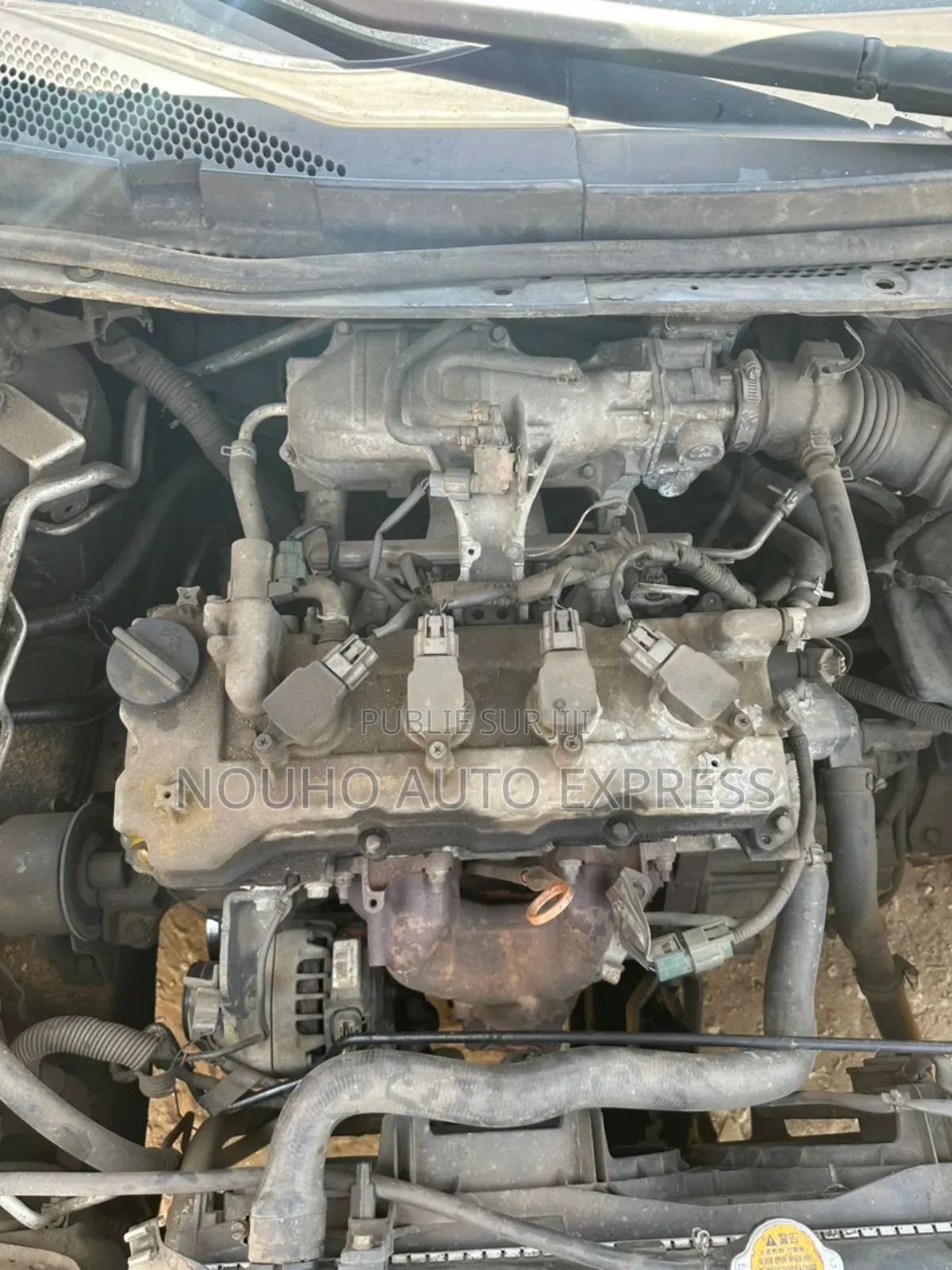 Nissan Primera 2005 Gris