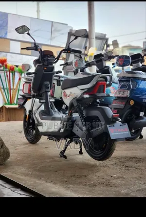 Nouveau Tailg J14A02 2026 Blanc