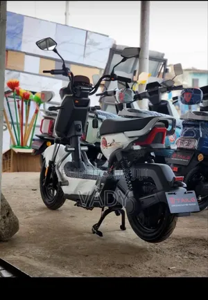 Nouveau Tailg J14A02 2026 Blanc