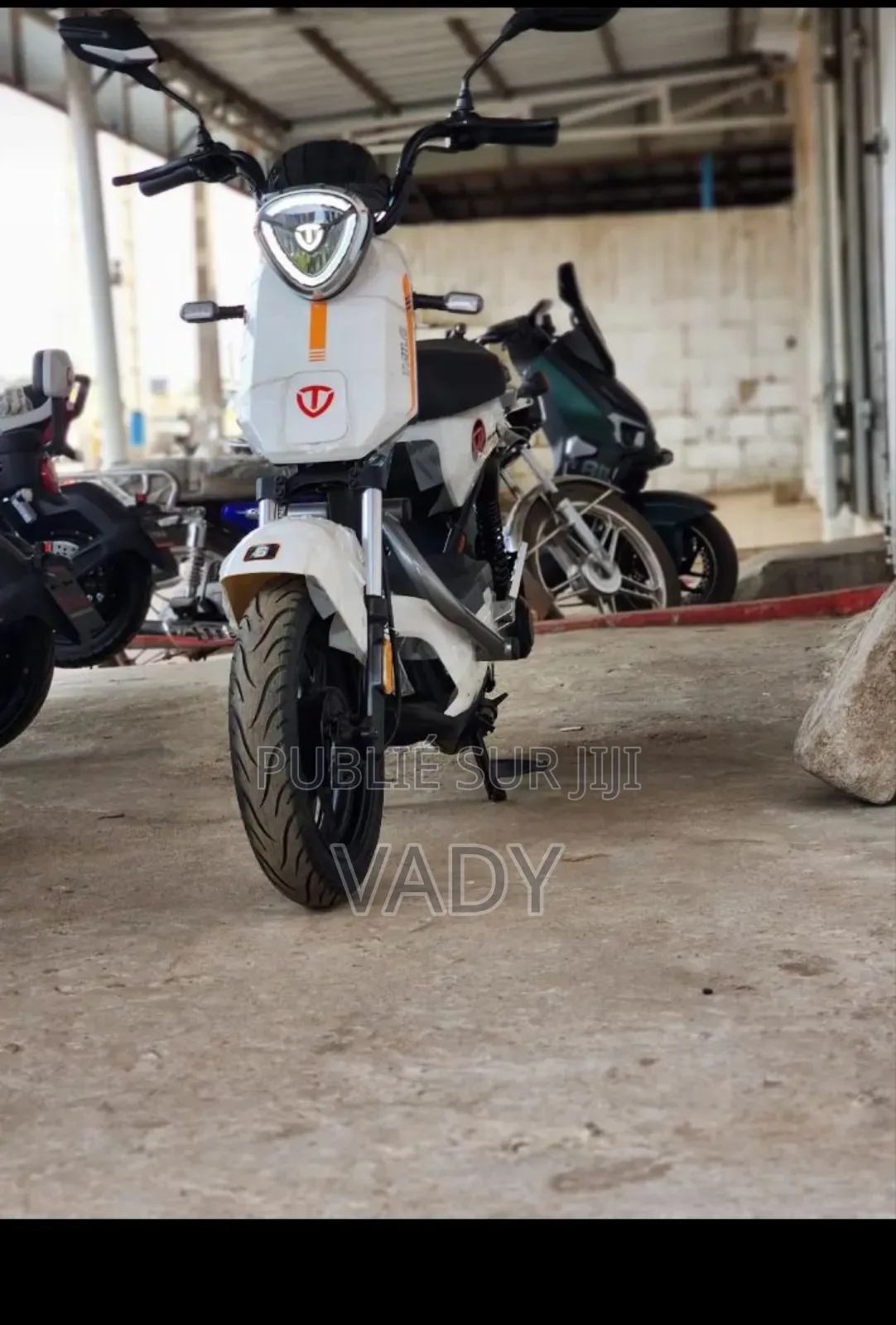 Nouveau Tailg J14A02 2026 Blanc