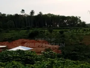 Terrain en Vente a Prikro