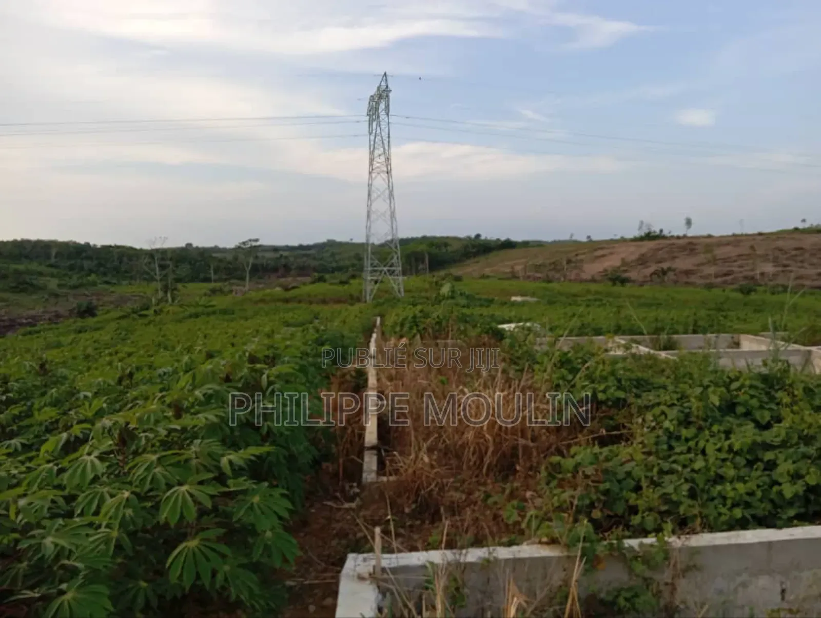 Terrain en Vente a Prikro