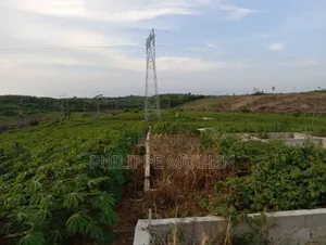 Terrain en Vente a Prikro