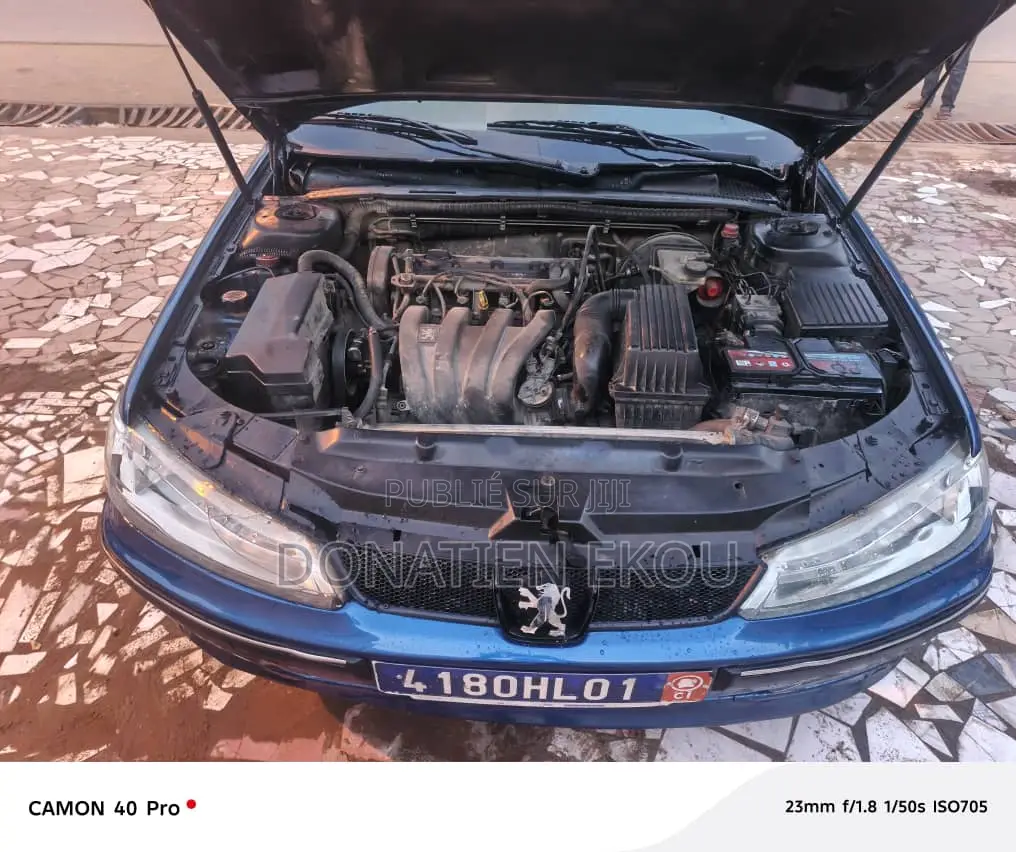 Peugeot 406 2002 Bleu