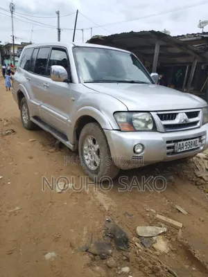 Mitsubishi Pajero 2009 Gris