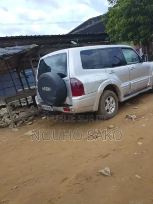 Mitsubishi Pajero 2009 Gris