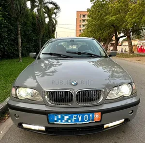 BMW 3 Series 2006 Gris