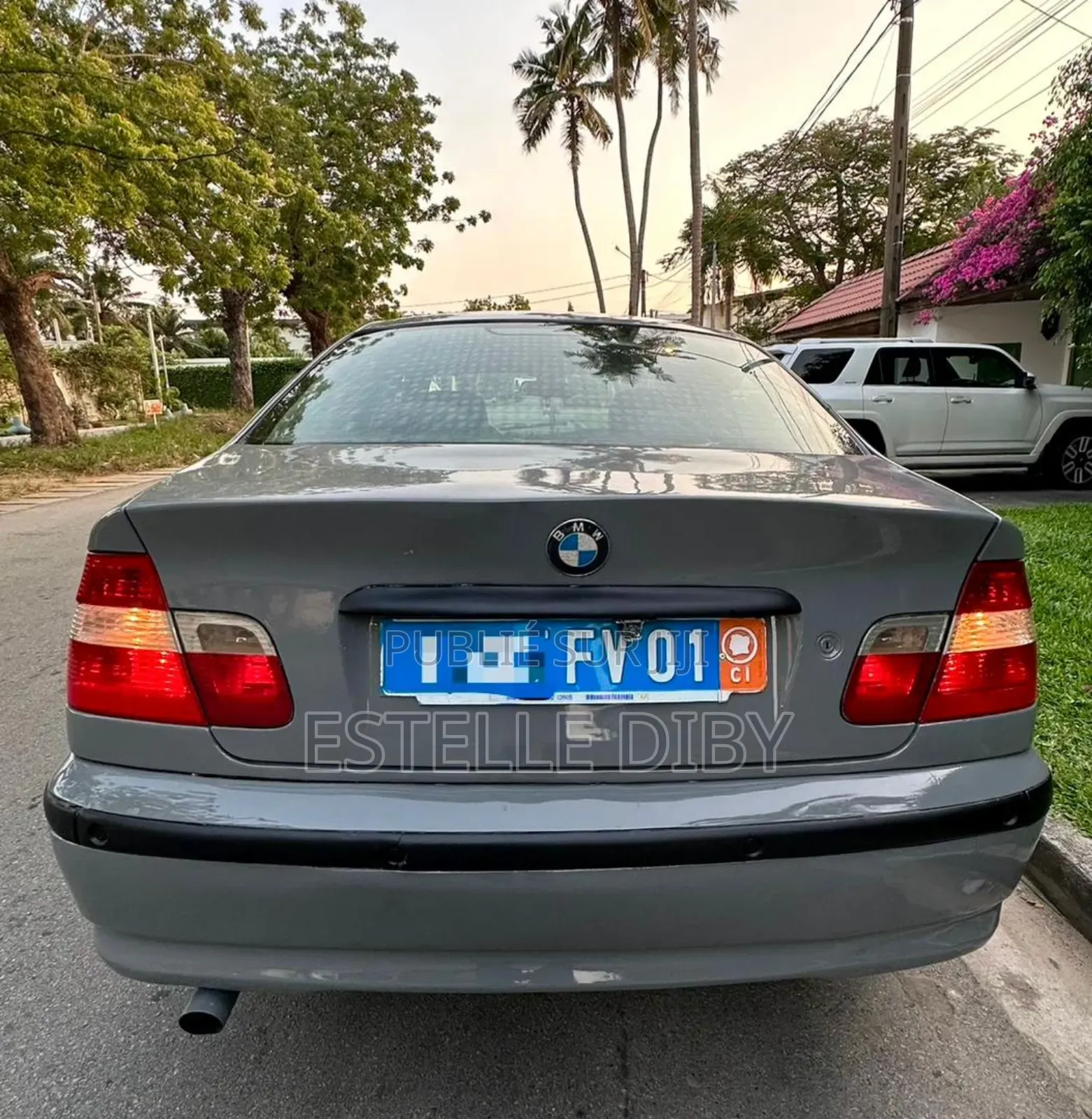 BMW 3 Series 2006 Gris