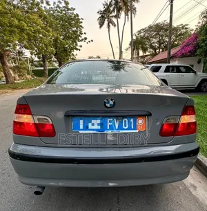 BMW 3 Series 2006 Gris