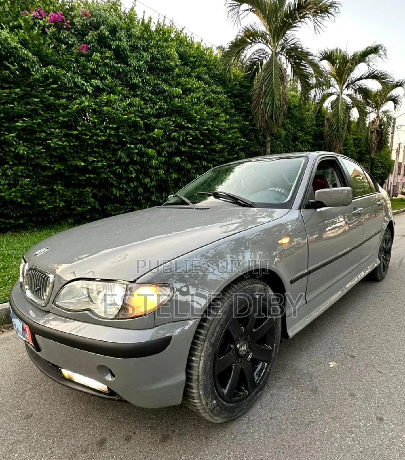 BMW 3 Series 2006 Gris