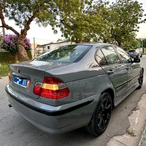 BMW 3 Series 2006 Gris
