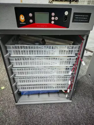 Machine Couveuse, Deux Œuf