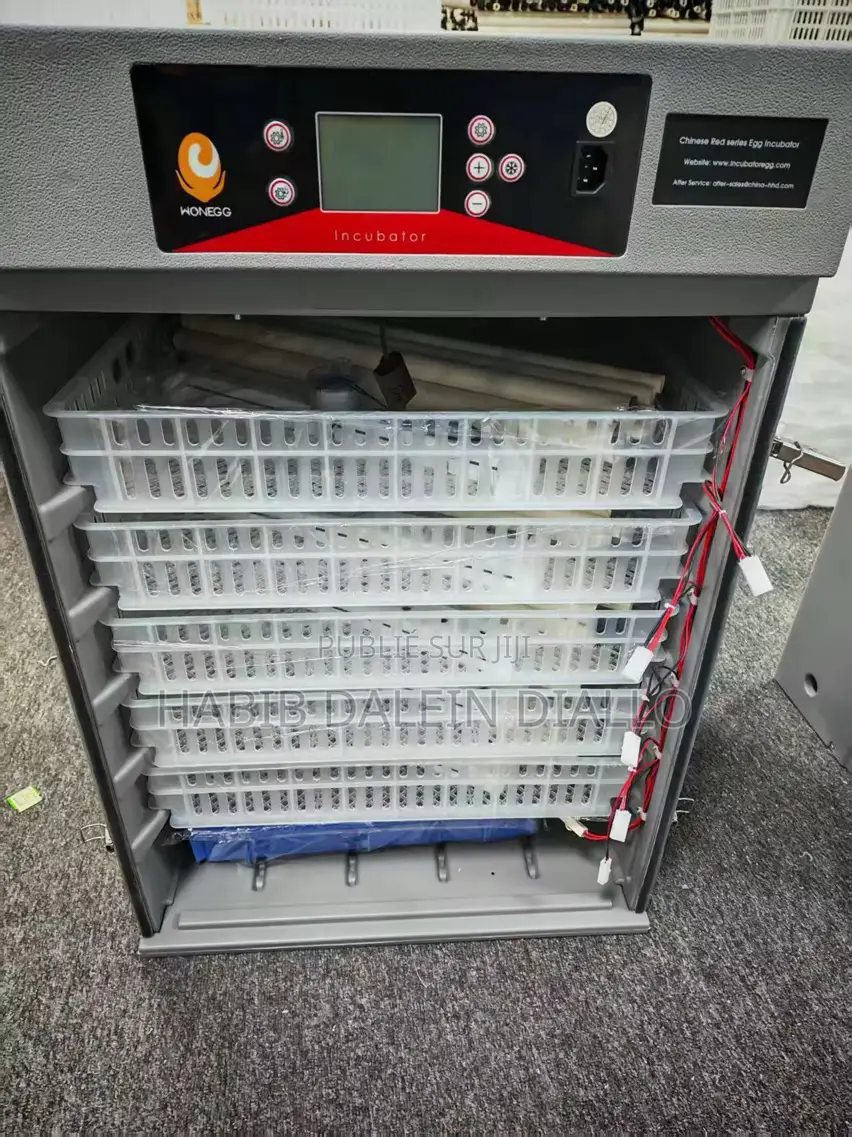 Machine Couveuse, Deux Œuf
