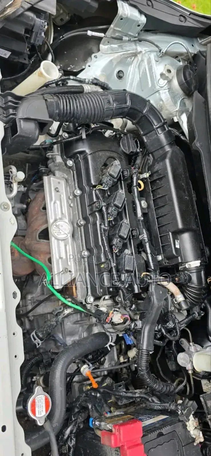 Toyota Starlet 2024 Gris