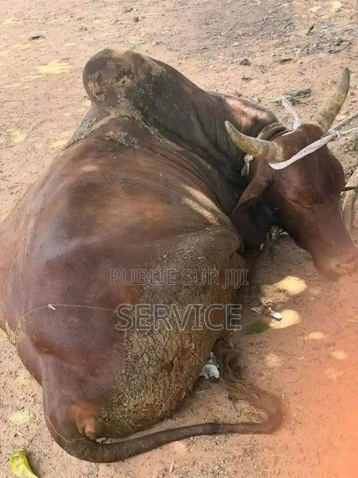 Un Vie Ou Vous Avez Déjà Passé Et Que Vous Êtes