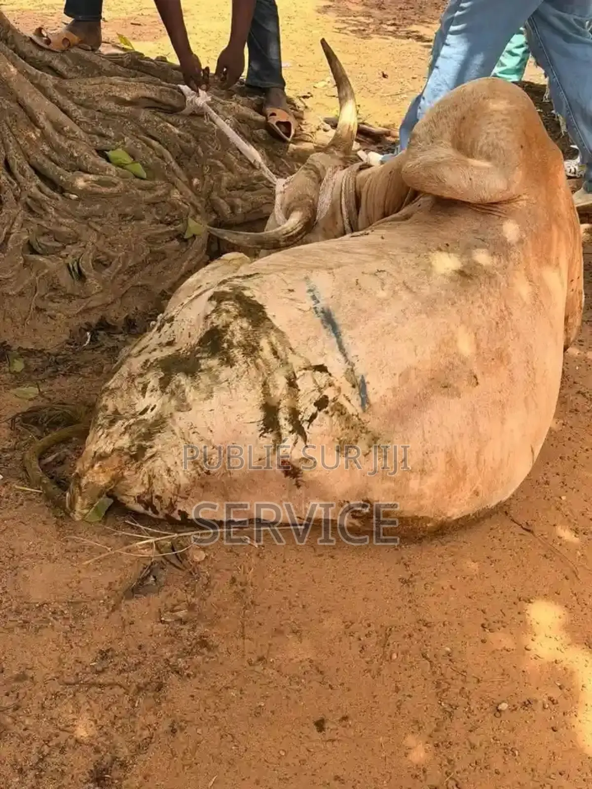 Un Vie Ou Vous Avez Déjà Passé Et Que Vous Êtes
