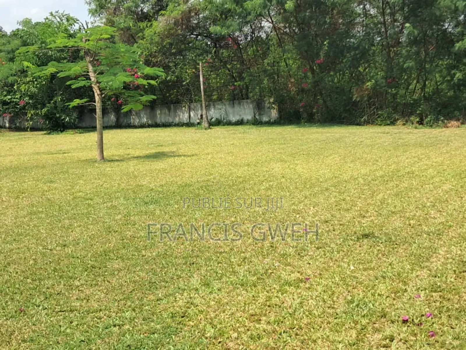 6chbre Duplex dans Francis Gweh, Cocody à Vendre