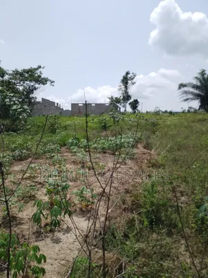 8chbre Duplex dans Zié Multi-Service, Bingerville à Vendre