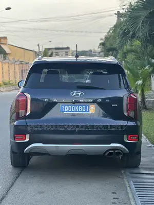 Hyundai Palissade 2020 Noir Mat