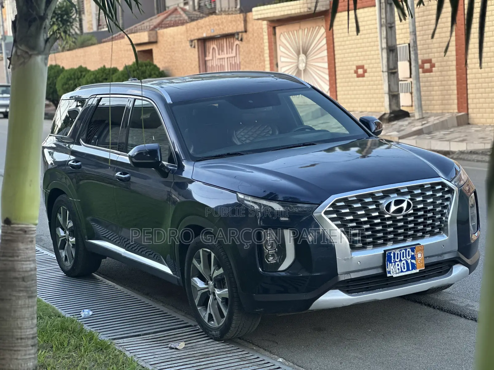 Hyundai Palissade 2020 Noir Mat