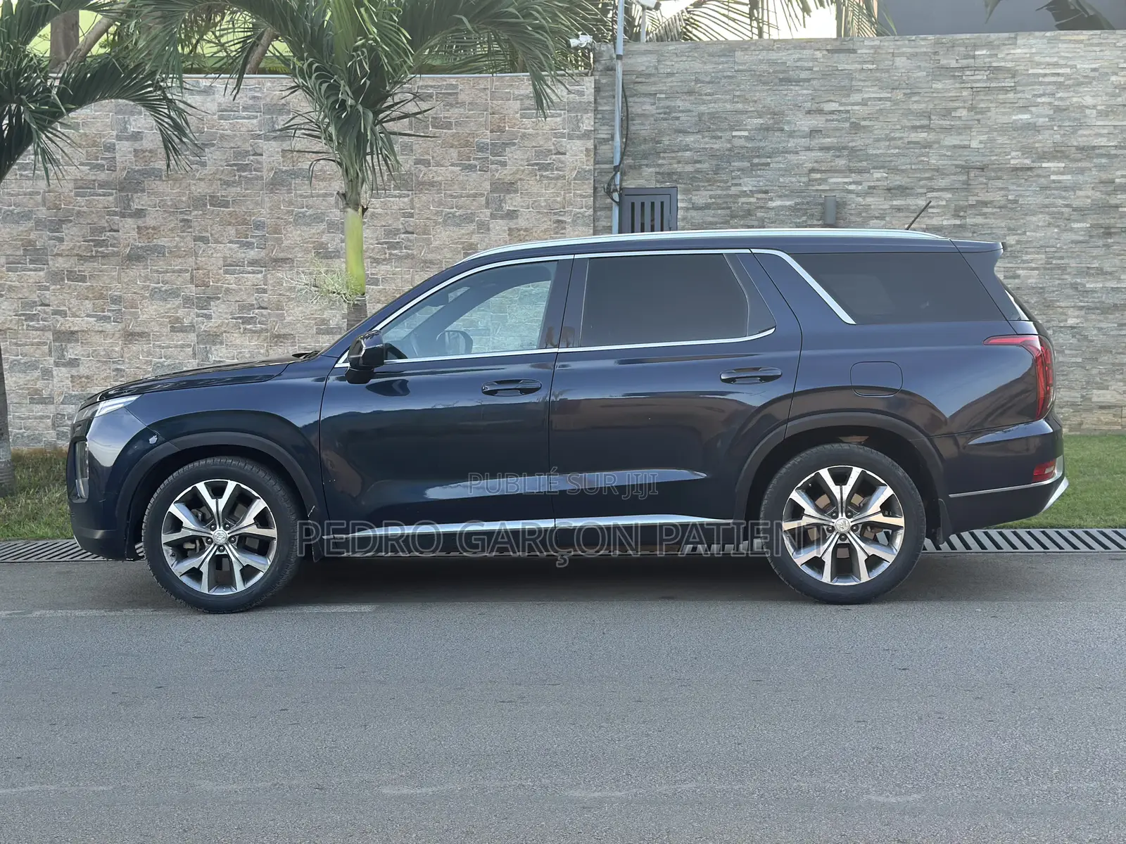 Hyundai Palissade 2020 Noir Mat