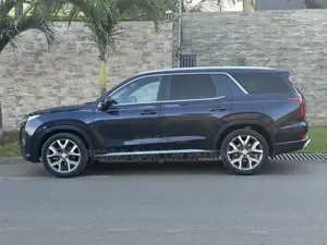 Hyundai Palissade 2020 Noir Mat