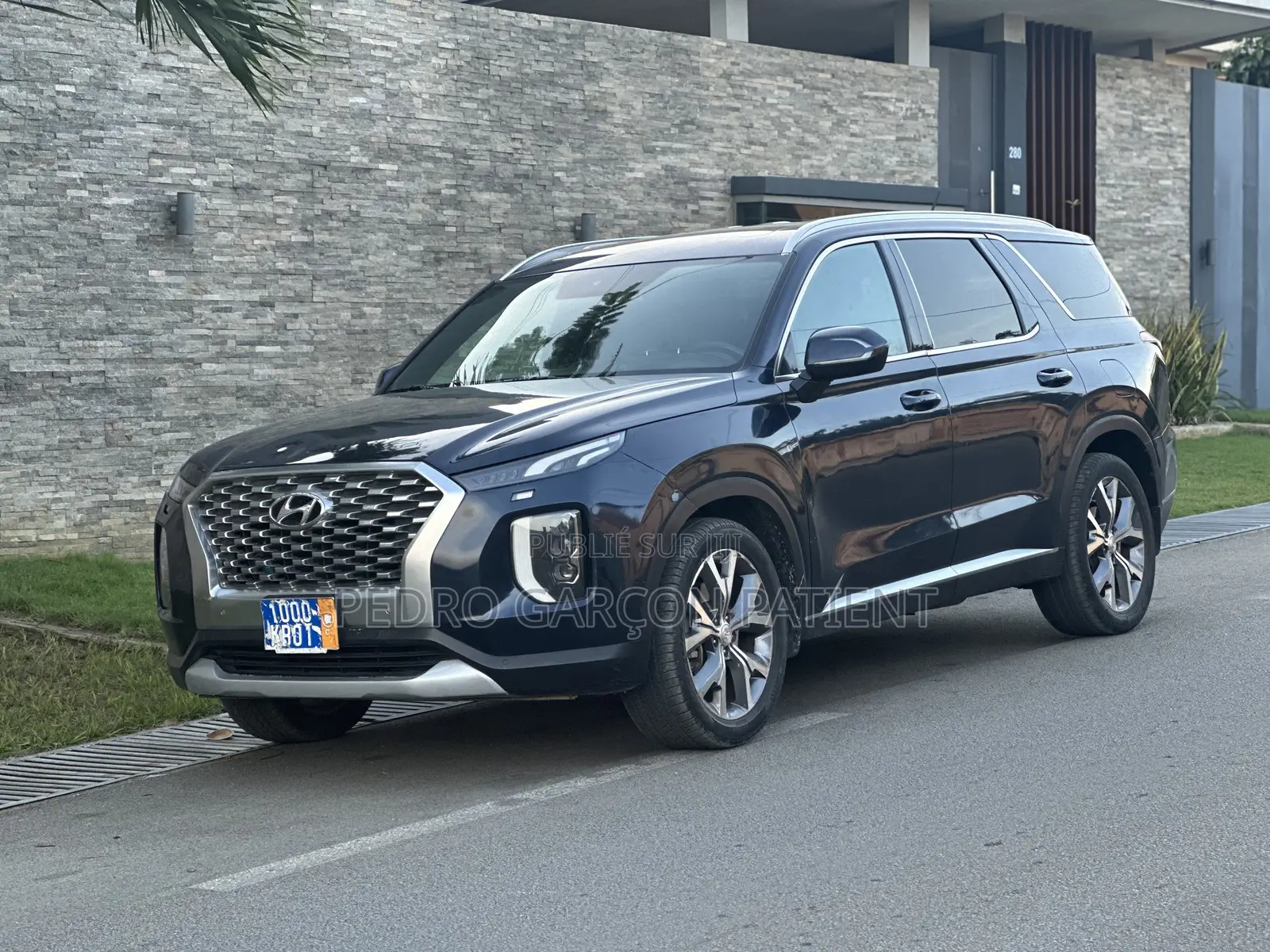 Hyundai Palissade 2020 Noir Mat