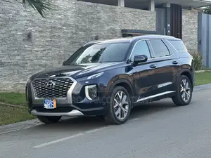 Hyundai Palissade 2020 Noir Mat