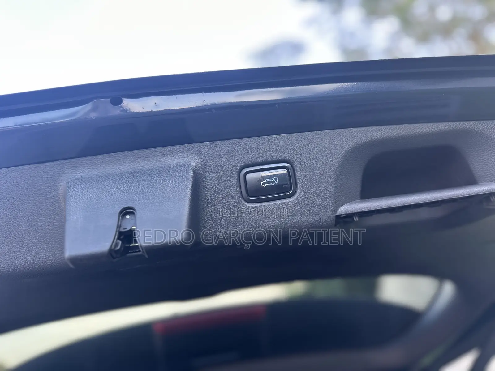 Hyundai Palissade 2020 Noir Mat