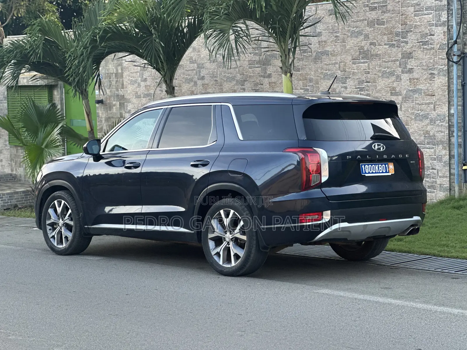 Hyundai Palissade 2020 Noir Mat