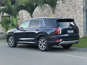 Hyundai Palissade 2020 Noir Mat