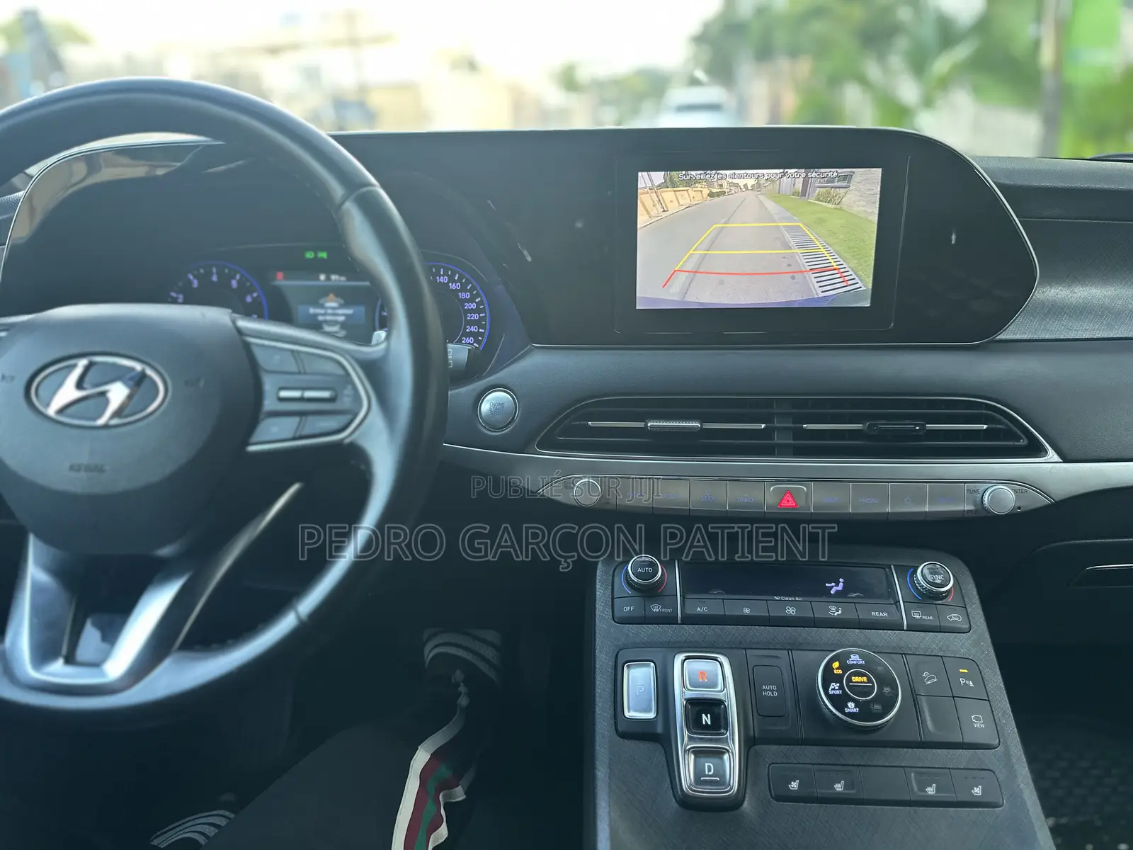 Hyundai Palissade 2020 Noir Mat