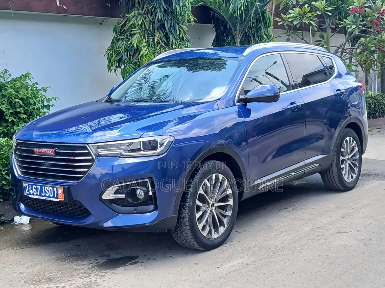 Haval H6 2019 Bleu