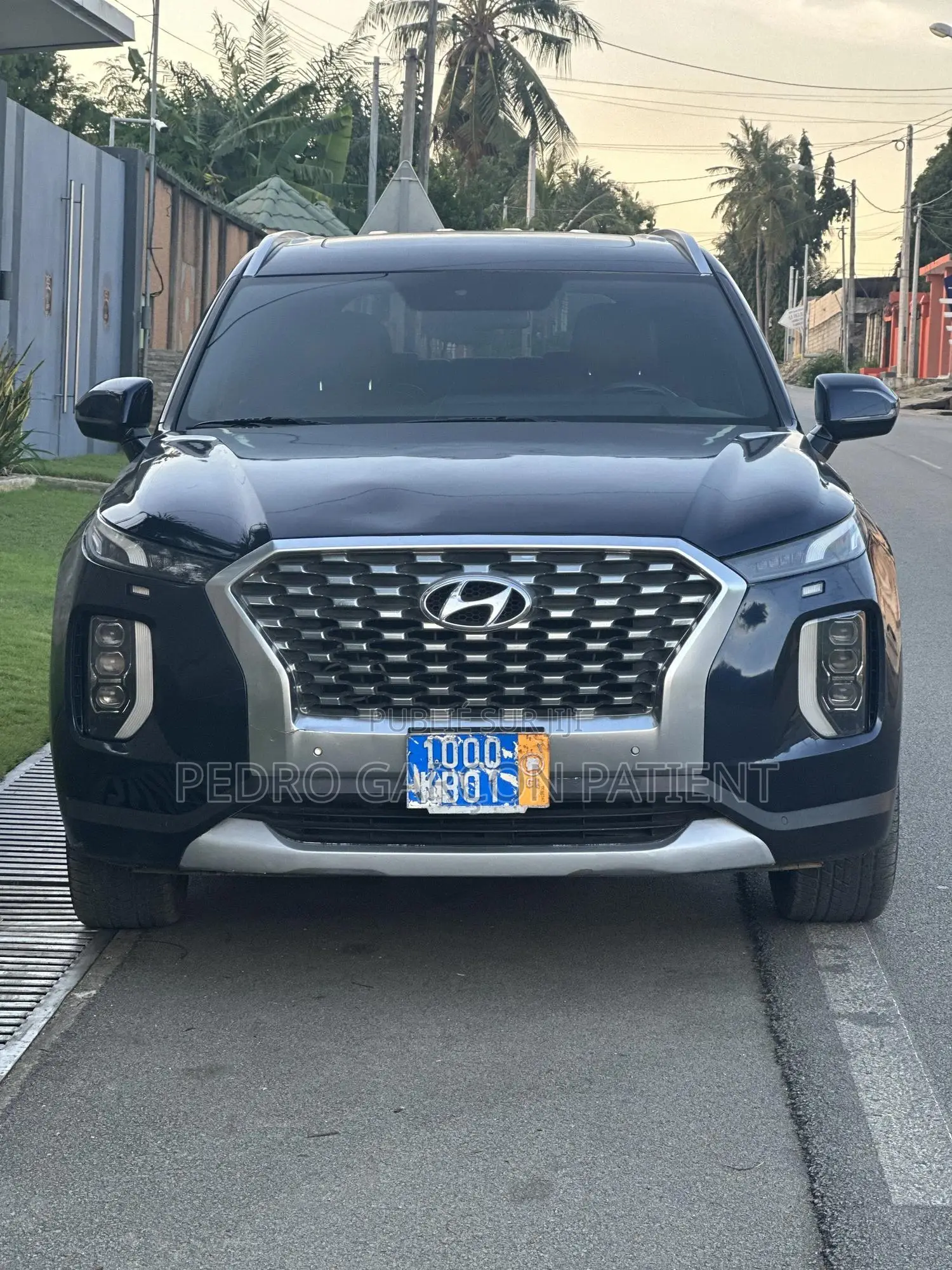 Hyundai Palissade 2020 Noir Mat