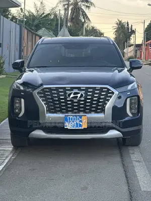 Hyundai Palissade 2020 Noir Mat