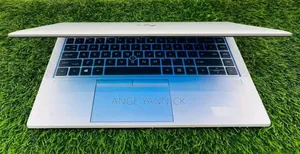 Nouveau HP EliteBook 845 G8 16GB Intel Core i5 SSD 512GB