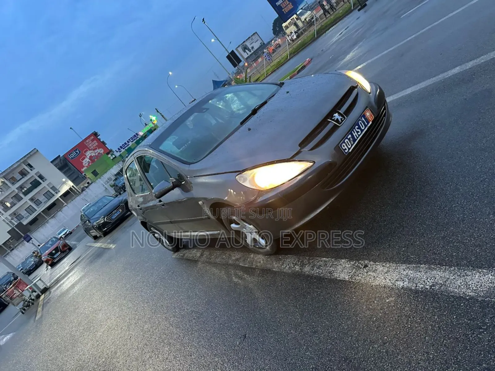 Peugeot 307 2003 Gris