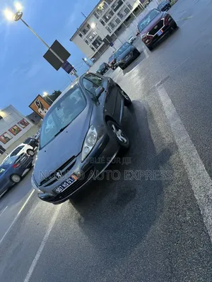 Peugeot 307 2003 Gris