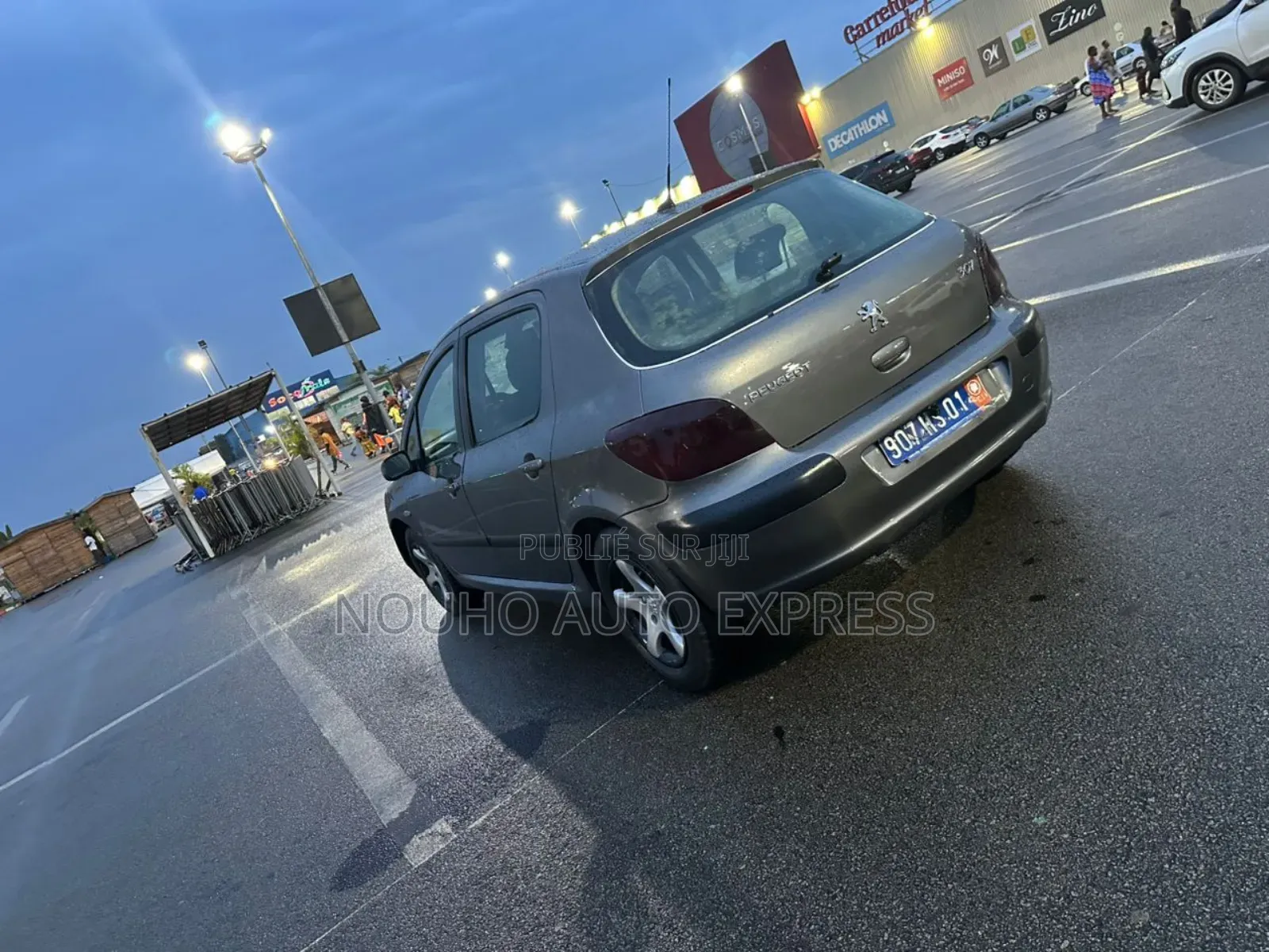 Peugeot 307 2003 Gris