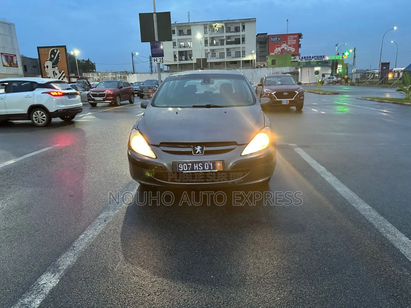 Peugeot 307 2003 Gris